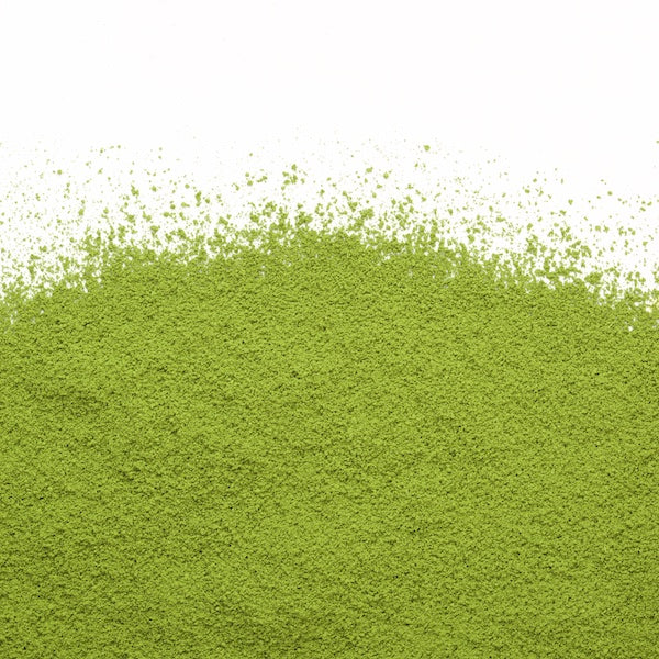 Camellia Sinensis - Matcha Uji