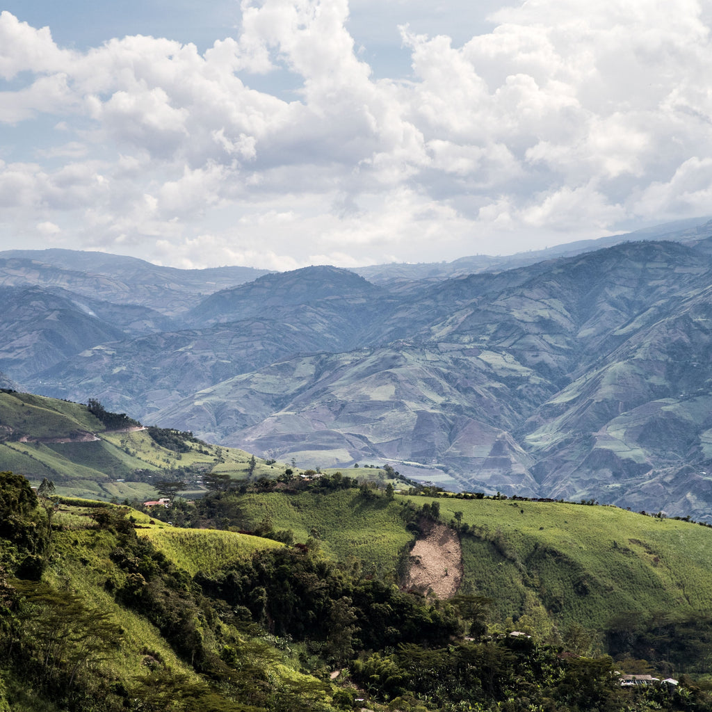 El Naranjo