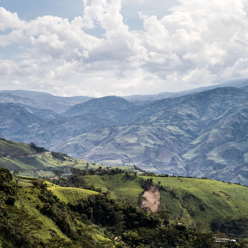 El Naranjo - Colombie