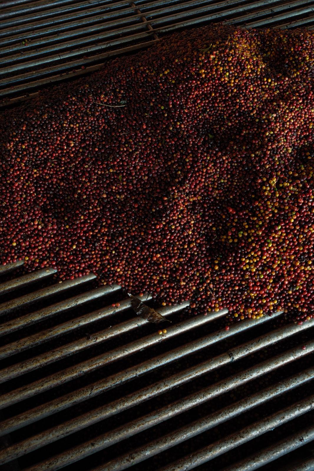 Finca La Soledad