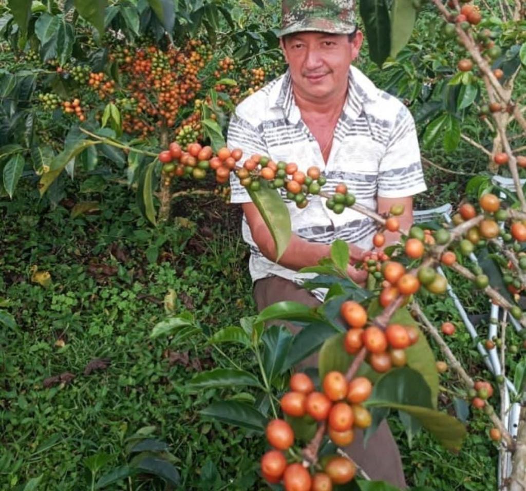 Colectivo - Pastor Ordonez (Colombie)